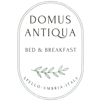 Domus Antiqua B&B